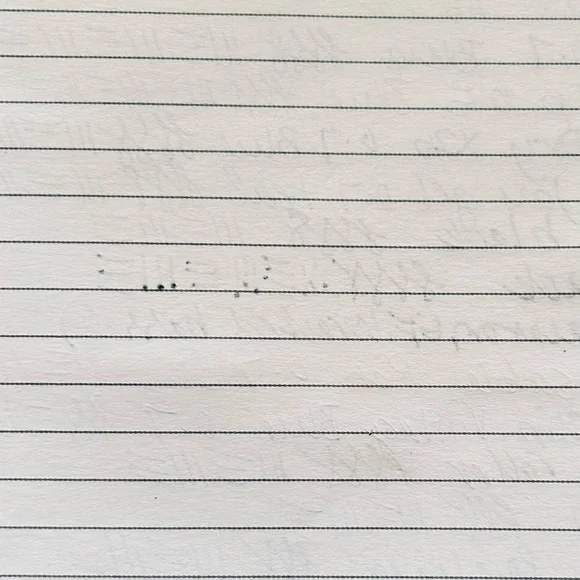 Pretty Lined Notebook - Picture 7 of 7